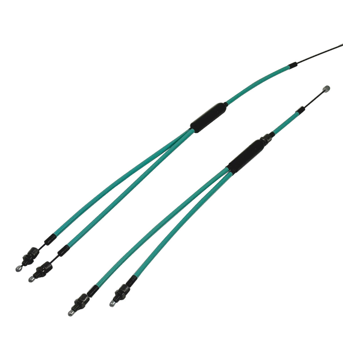 Color:Teal