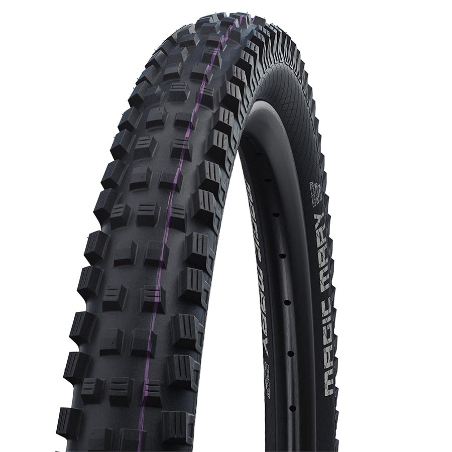 Schwalbe Magic Mary Gravity Pro Evo Mountain Tire 29"x2.50 Folding Tubeless Ready Addix Ultra Soft Gravity Pro - Radial 67TPI Black