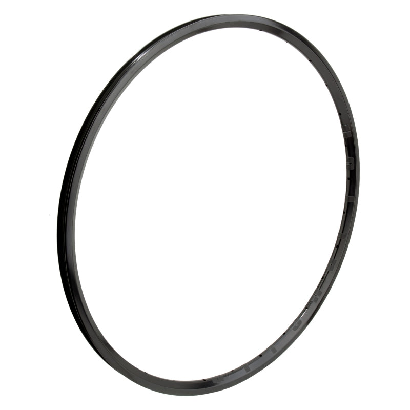 Alienation Mite G69 TCS 24in 36H Rim