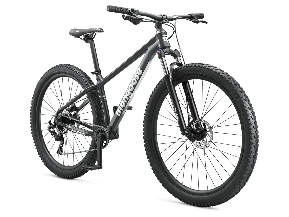 Switchback 1 - 29in