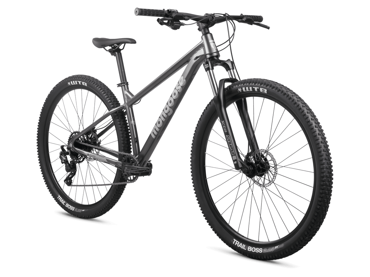 Switchback Expert - 29in