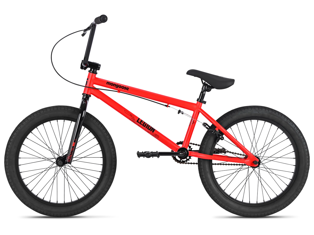 Legion L10 - 20in
