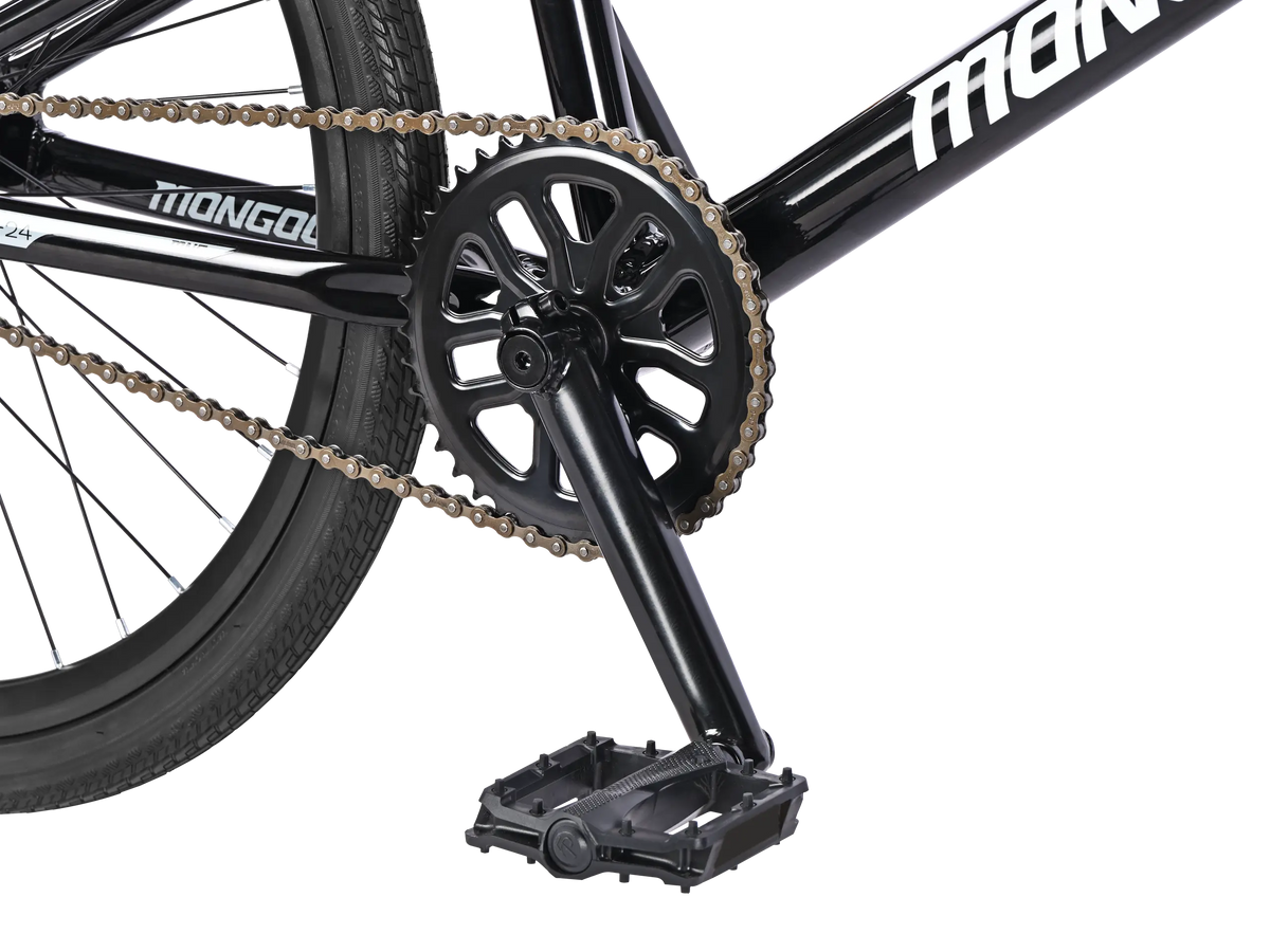 Pro 24