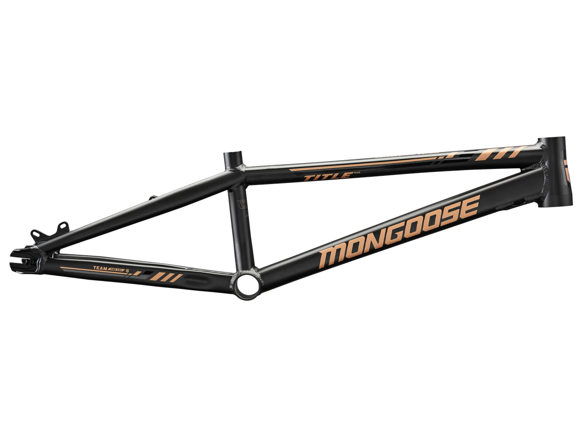 Team Pro Frame