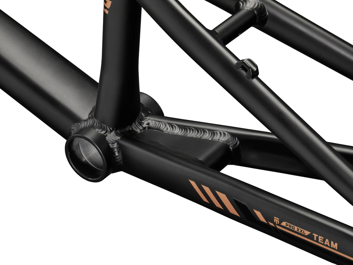 Team Pro Frame