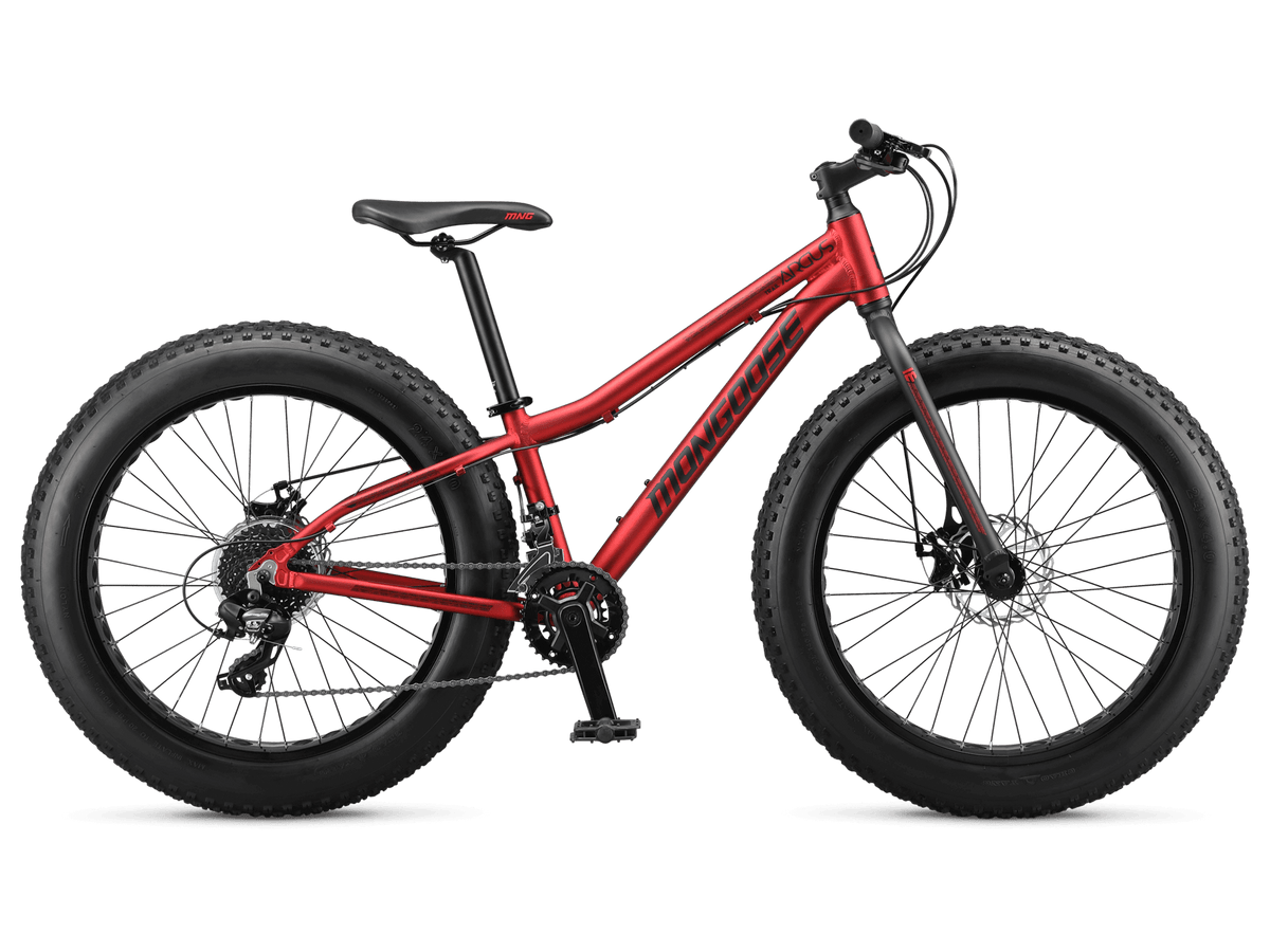 Argus Trail 24in