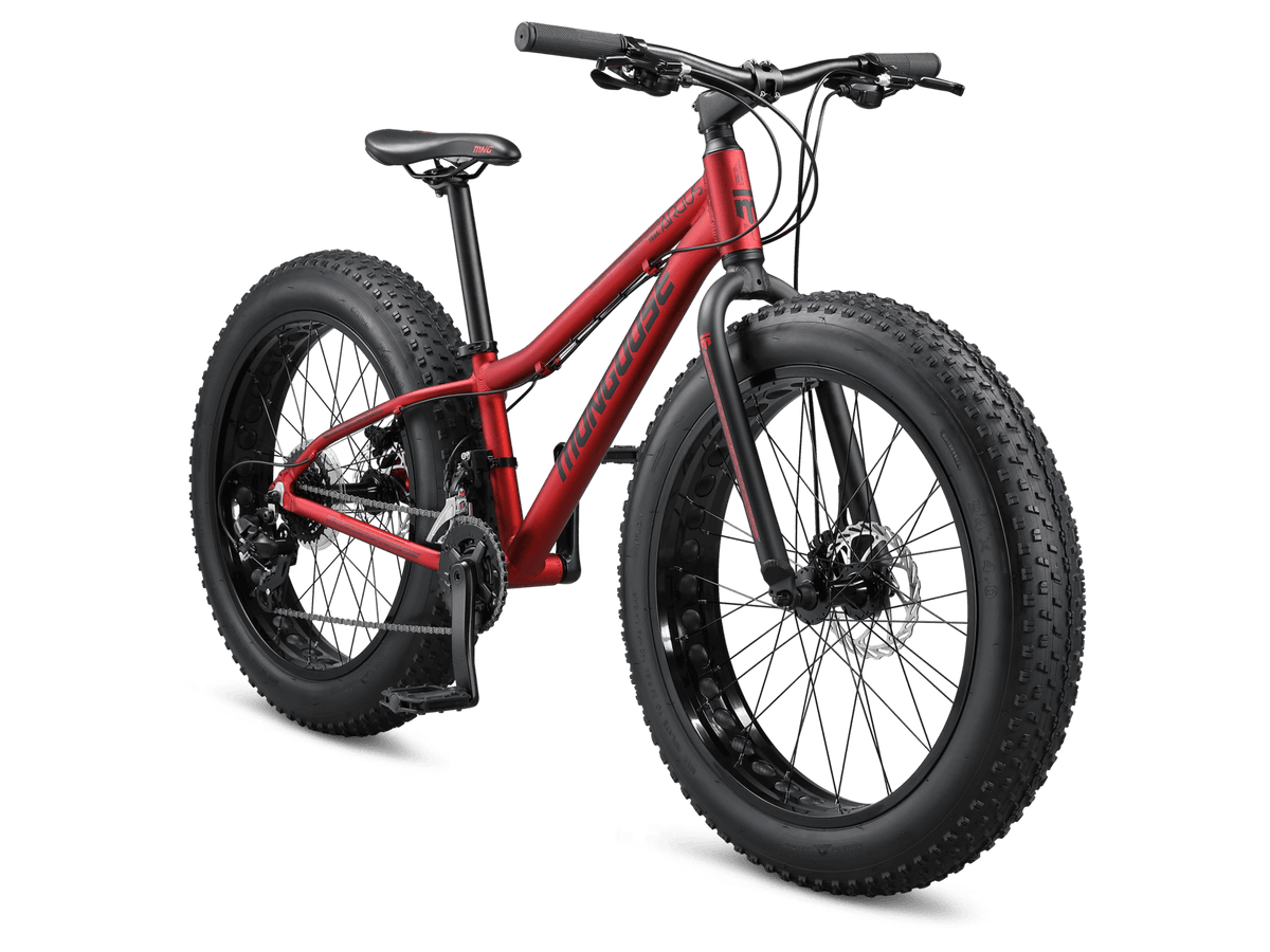 Argus Trail 24in