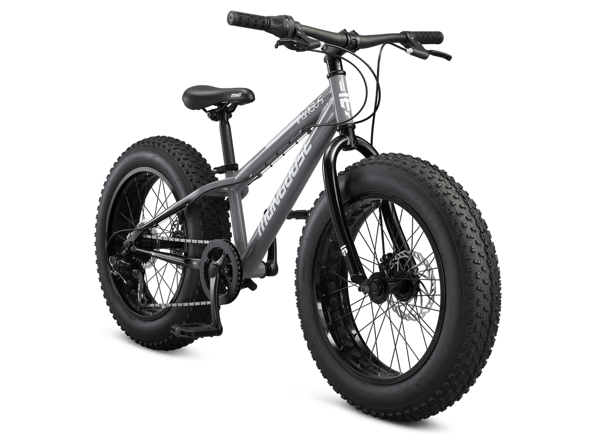 Argus ST 20in