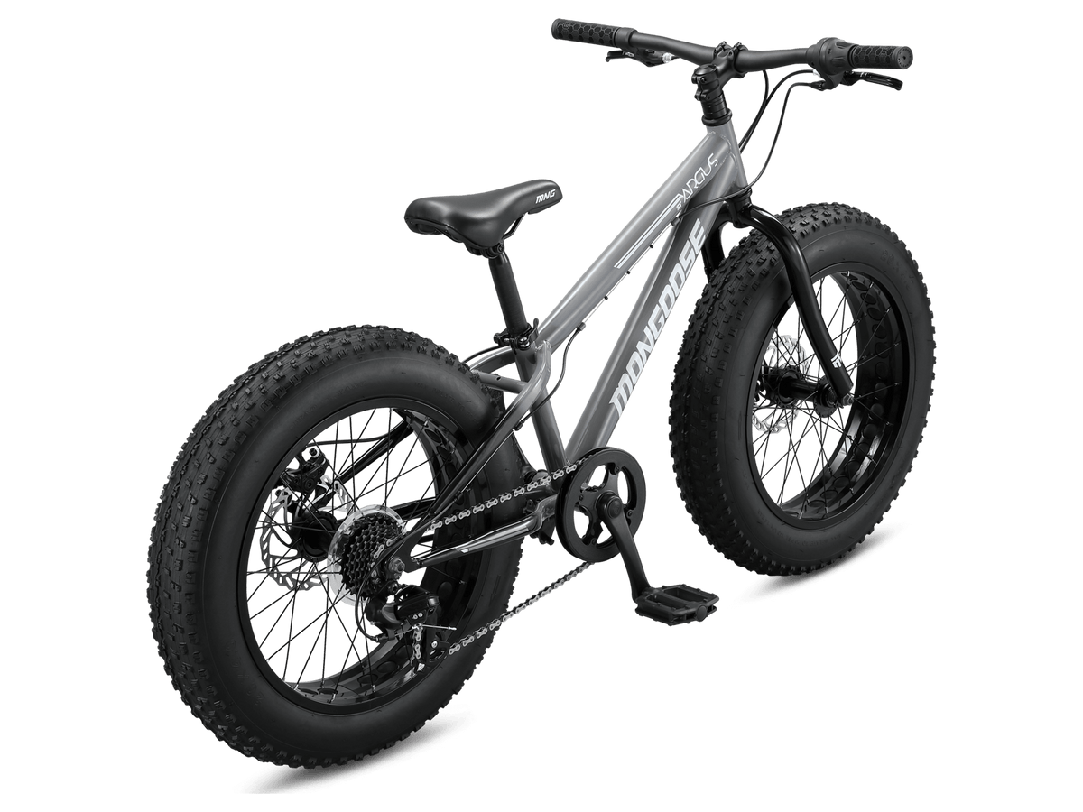 Argus ST 20in