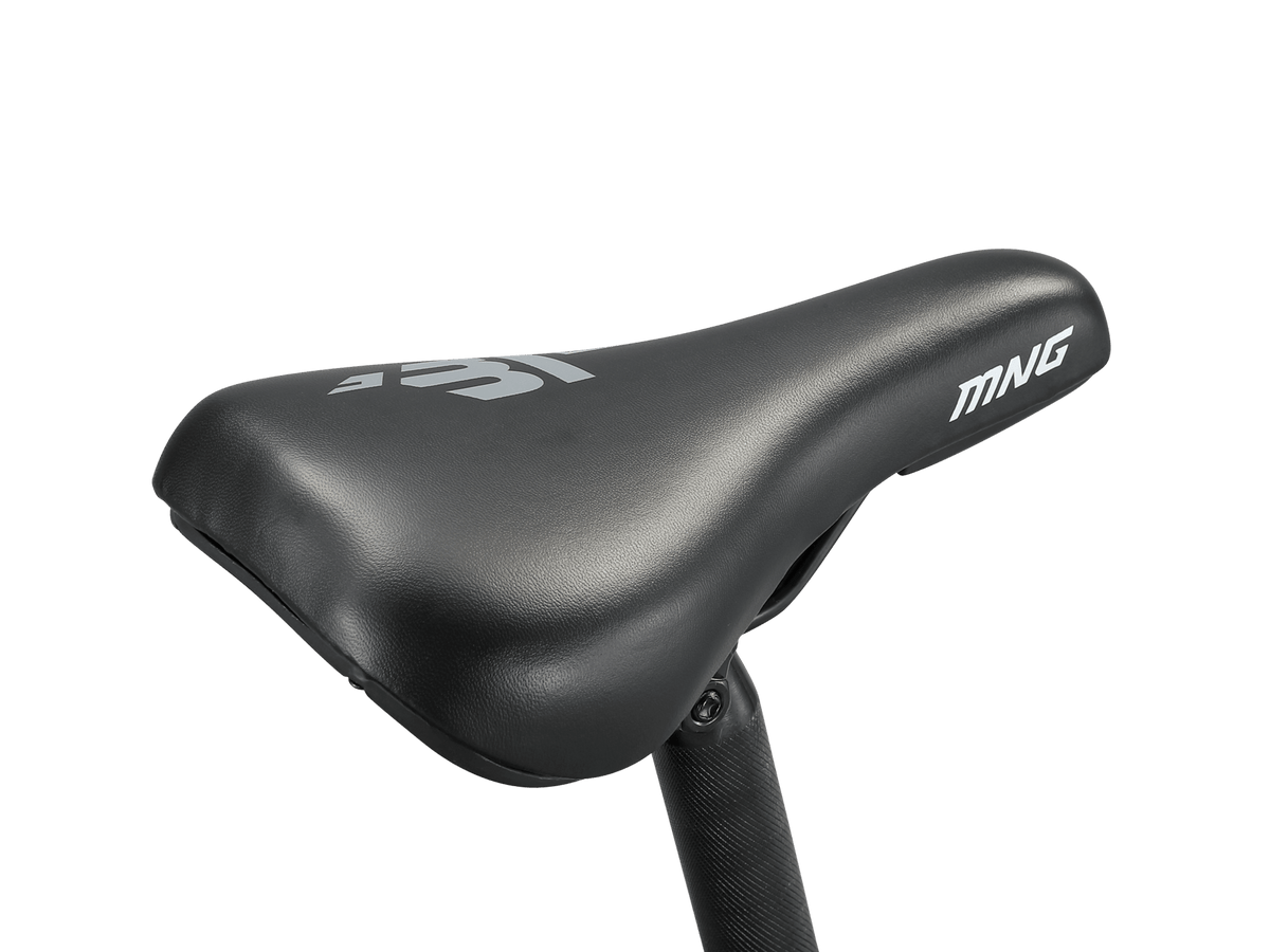 Argus ST 20in