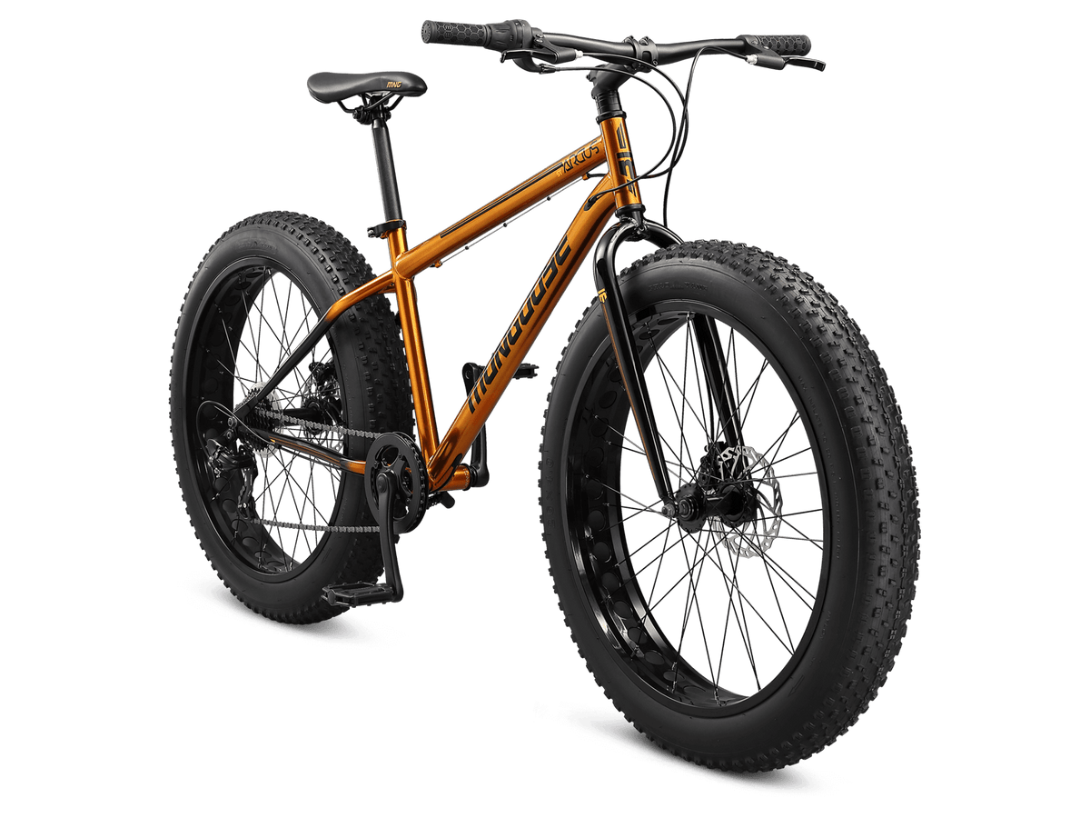 Argus ST 26in