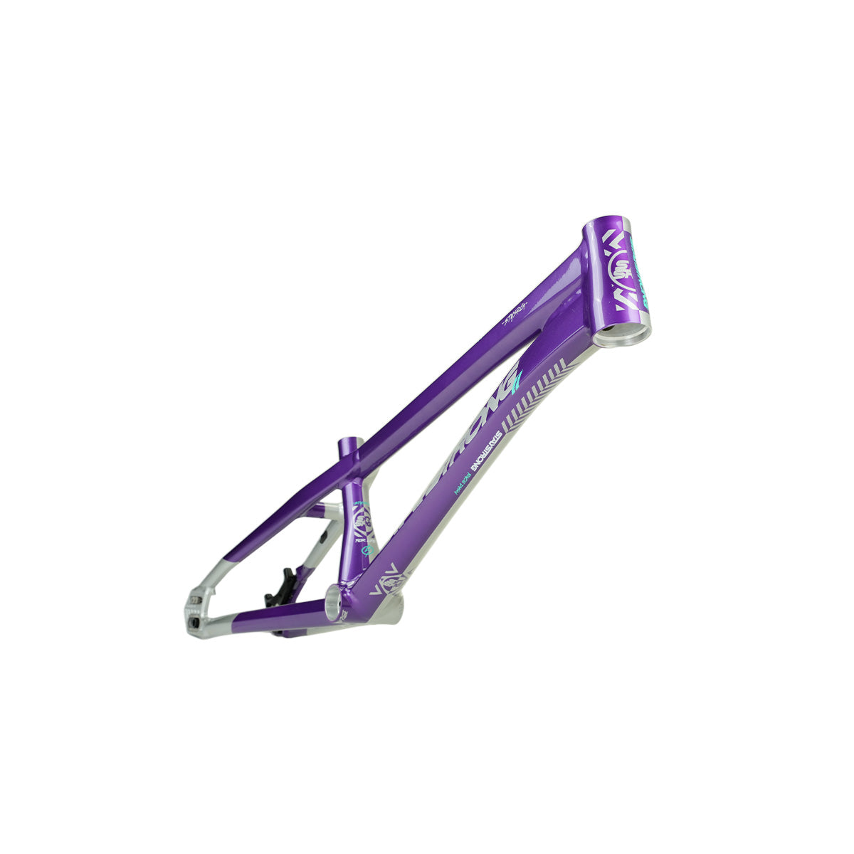 Stay Strong For Life V5.1 Disc Alloy BMX Race Frame-Purple/Silver