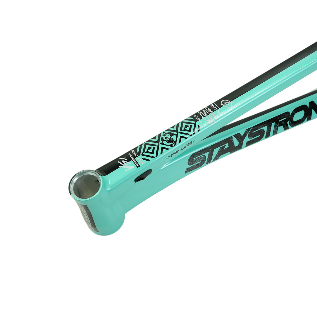 Stay Strong For Life V5.1 Disc Alloy BMX Race Frame-Tiffany/Black