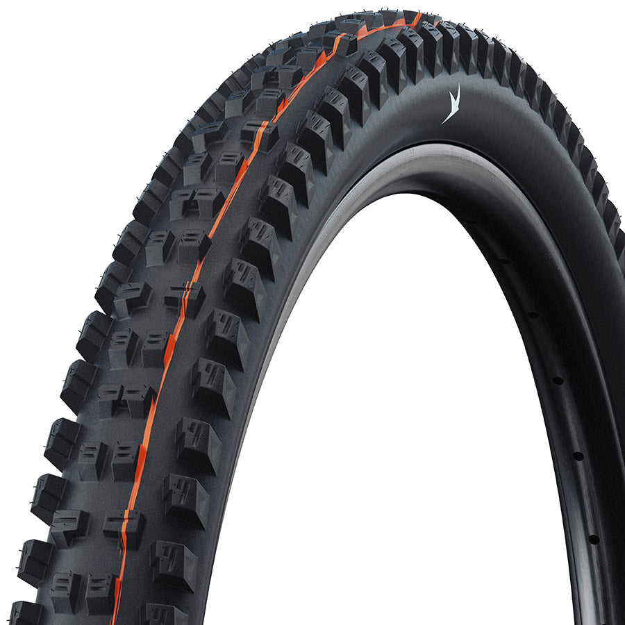 Schwalbe Tacky Chan Tire - 29 x 2.50 Tubeless Folding BLK Pro Trail Soft Radial E-50