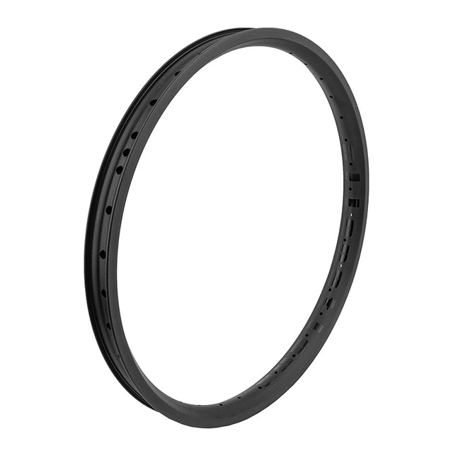 Alienation Vandal 22in 36H Rim