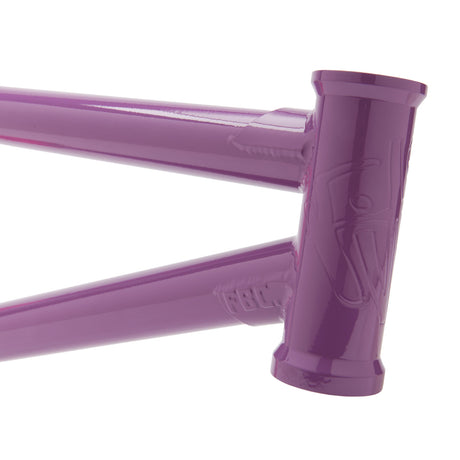Color:PURPLE/PINK FADE