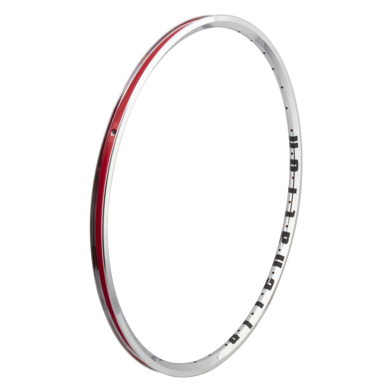 Alienation Mite G69 TCS 24in 28H Rim