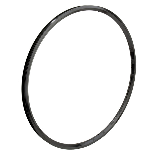 Alienation Mite G69 TCS 24in 36H Rim