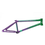 Green/Purple 20.75" - Image 1