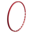 Alienation Mite G69 TCS 24in 28H Rim