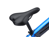 Blue SM - Image 5