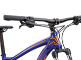 Blue SM - Image 4