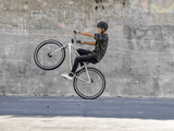 Mongoose Hooligan AL