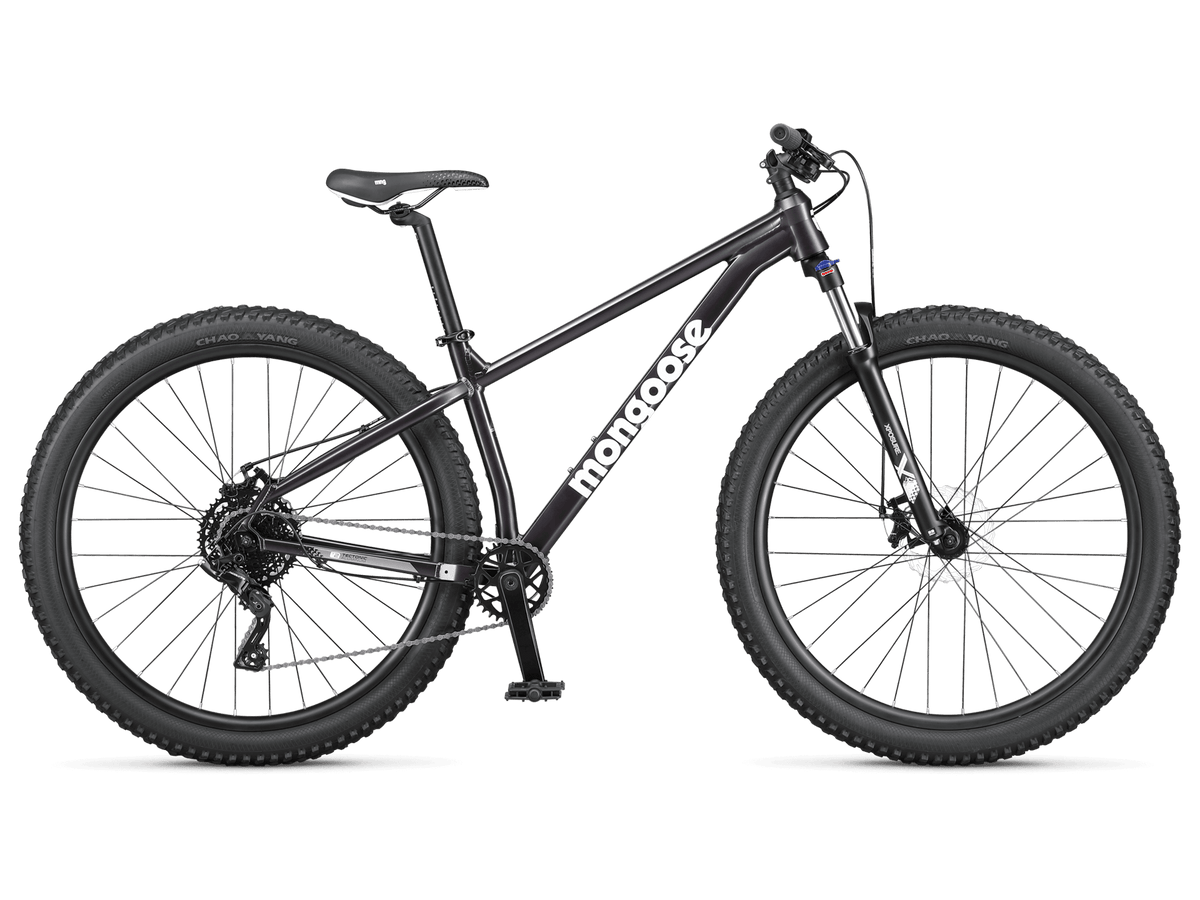 Switchback 1 - 29in