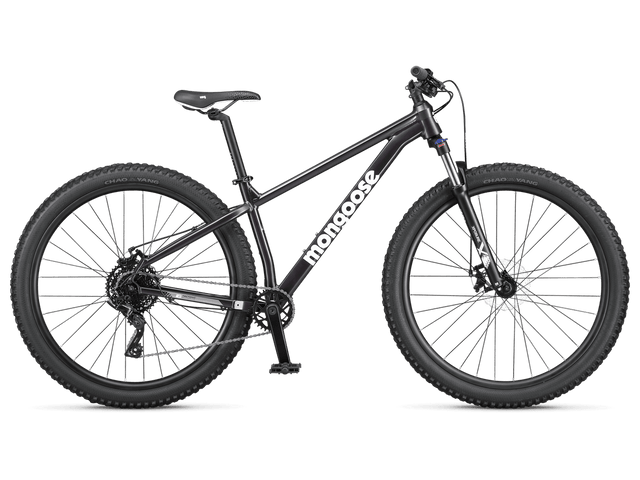 Switchback 1 - 29in