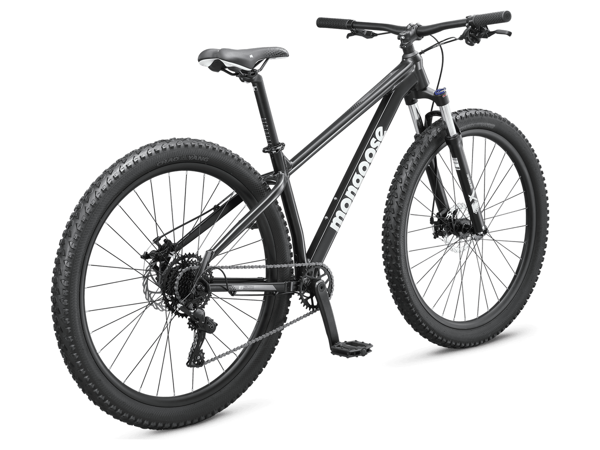 Switchback 1 - 29in