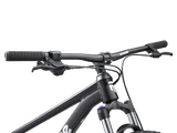 Switchback 1 - 29in