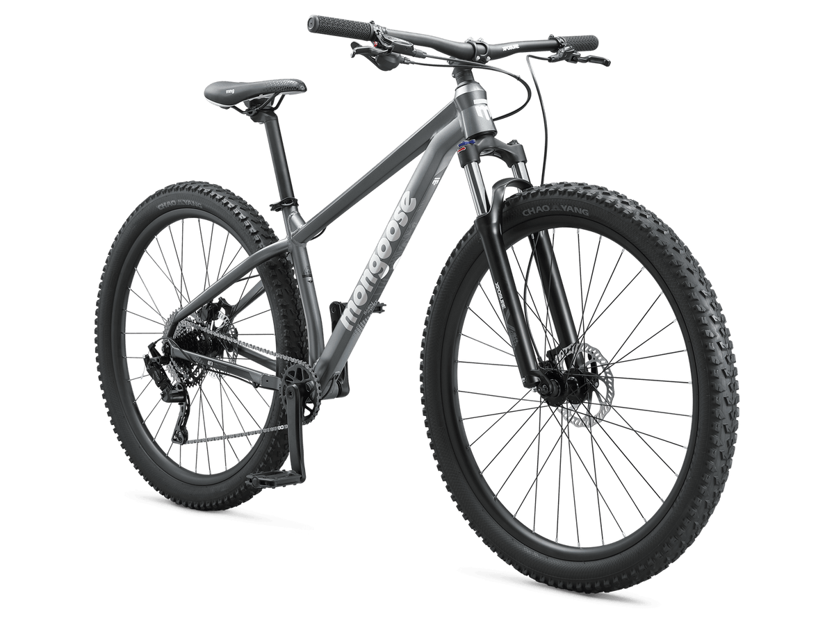 Switchback 2 - 29in