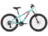 Mint 24" - Image 1