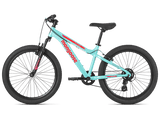 Mint 24" - Image 3