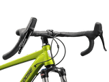 Green SM - Image 4