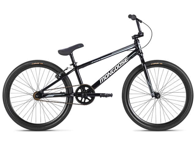 Pro 24