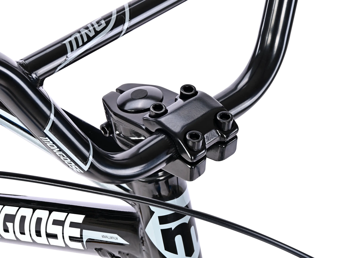 Pro 24