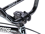 Pro 24