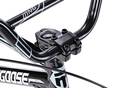 Pro 24