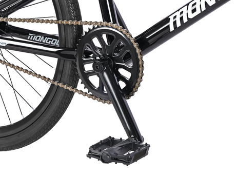Pro 24