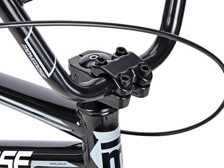Expert