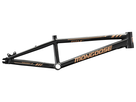 Team Pro Frame