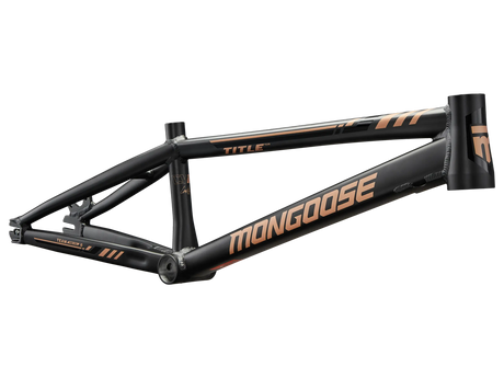Team Pro Frame