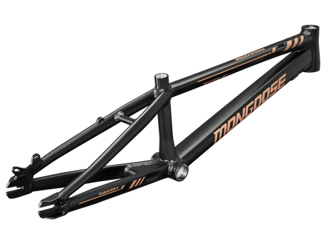 Team Pro Frame