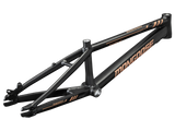 Team Pro Frame