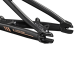 Team Pro Frame