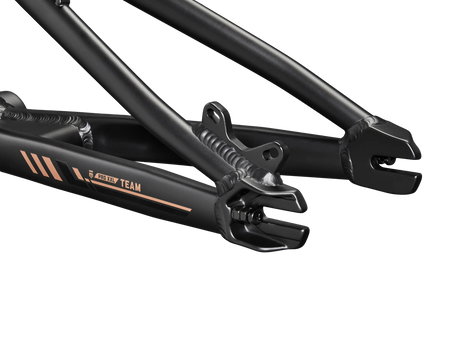 Team Pro Frame