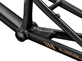 Team Pro Frame