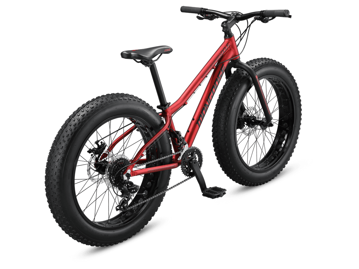 Argus Trail 24in