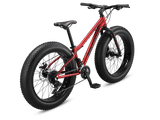 Argus Trail 24in